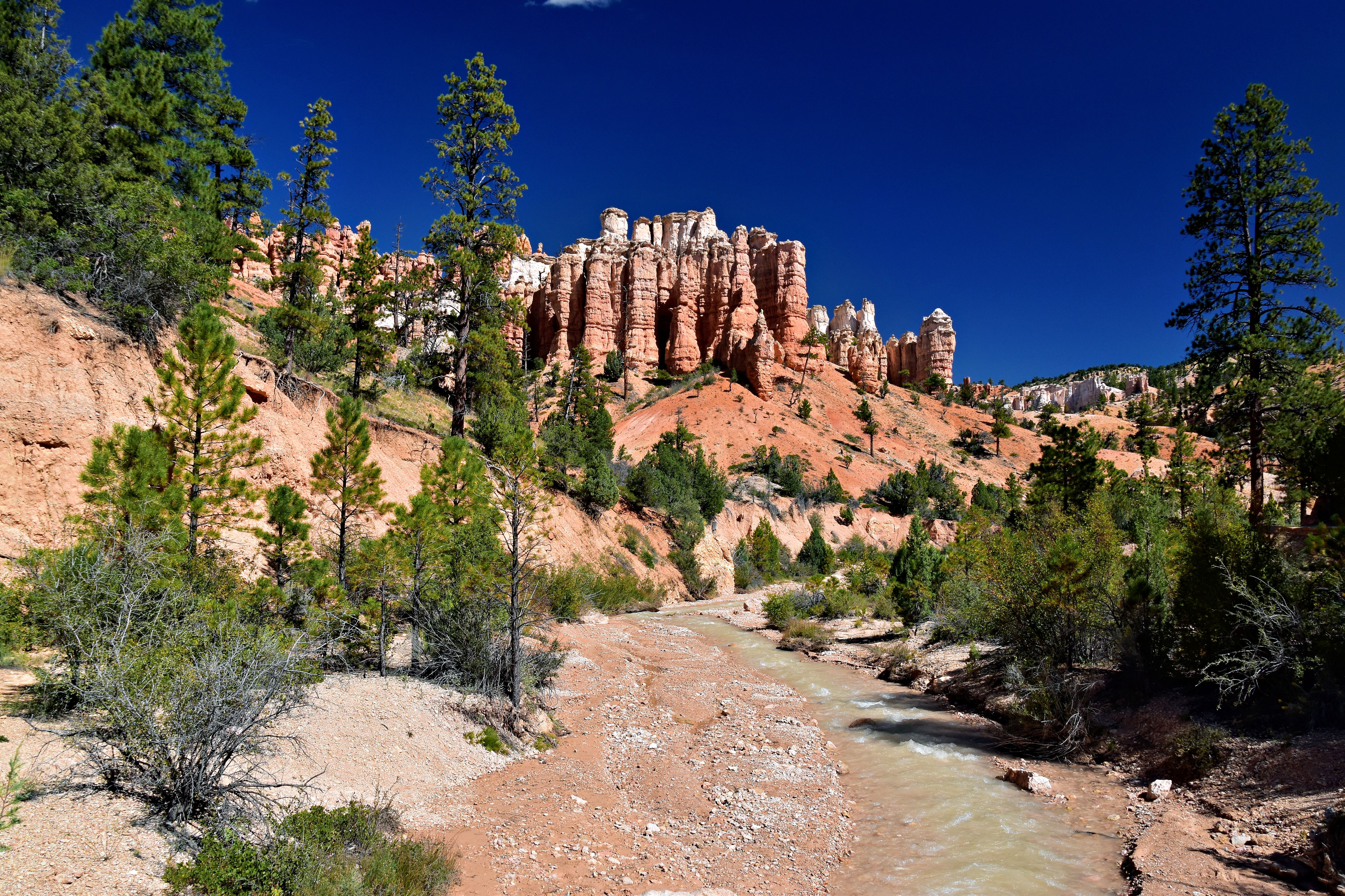 The Ledges of St. George